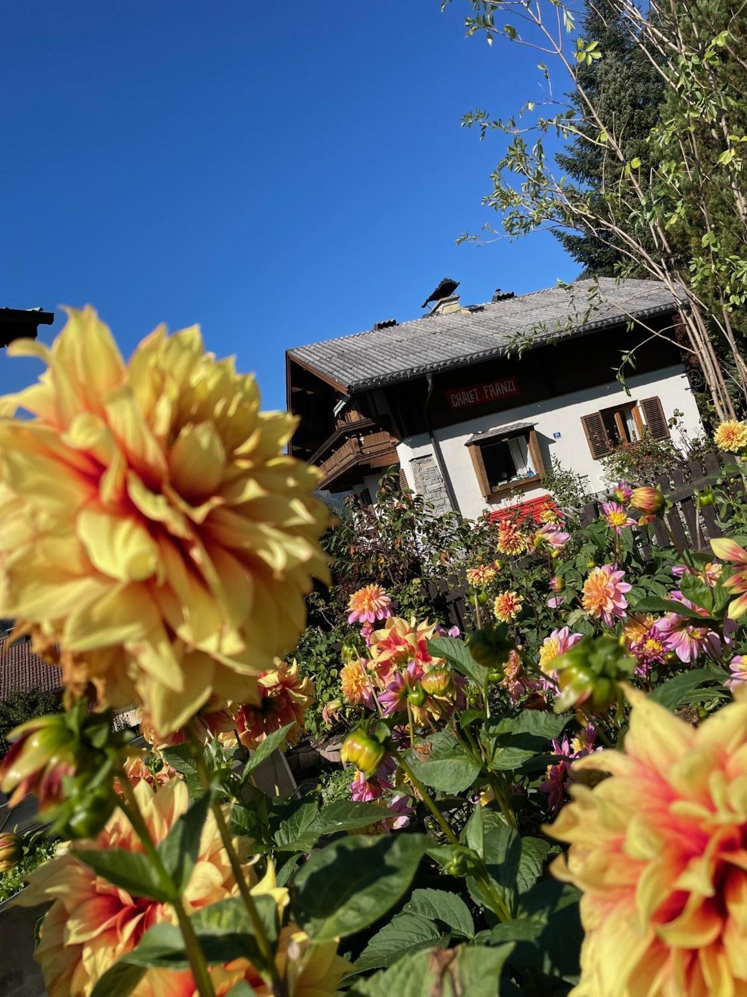Chalet Franzi - Das Family-Ferienhaus Mit Gratiseintritt Ins Solarbad Dorfgastein Exterior photo